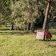 Image for article titled A ghost town in Italy is about to come back to life for a hide-and-seek “world championship”